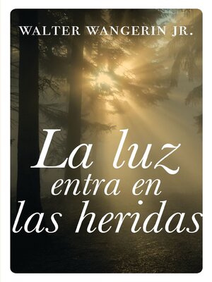 La luz entra en las heridas - ebook